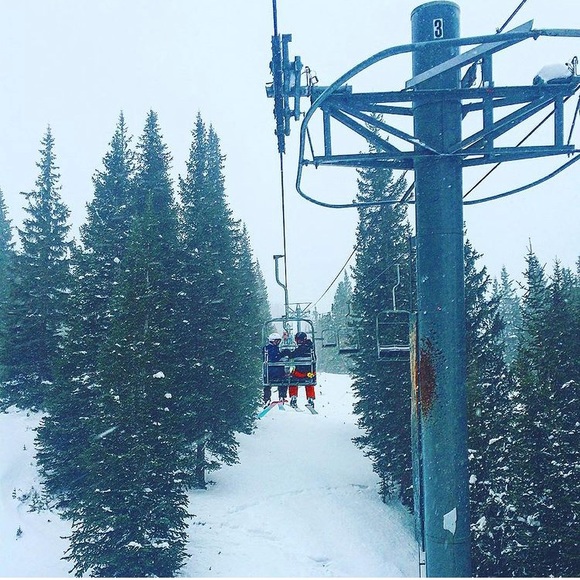 Meet your Posher, Ellie - Picture 2 of 2